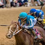 kentucky derby how to bet